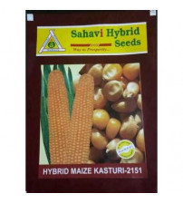 Maize Kasturi-2151 1 Kg